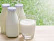 Dairy Products