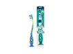 Dental & Oral Care