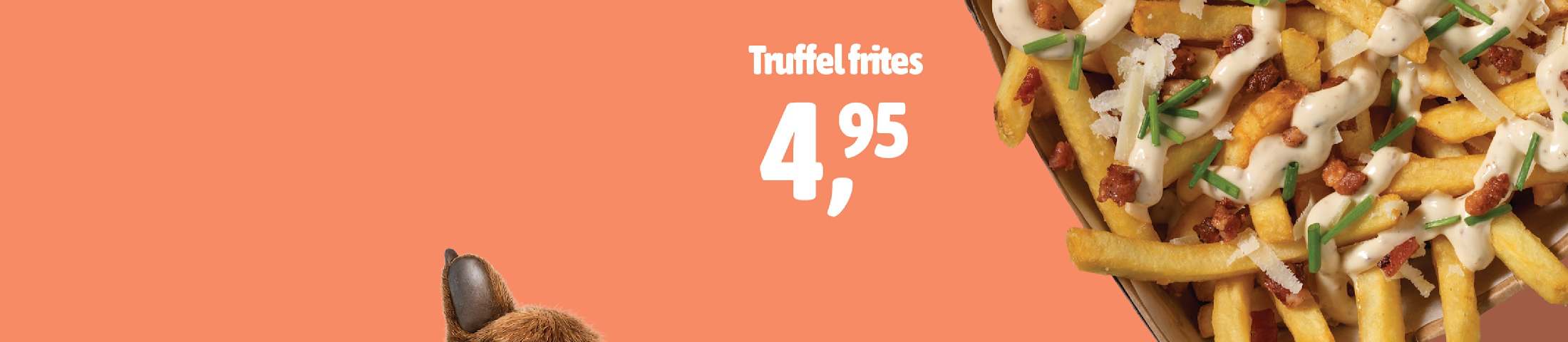 truffel fries 4.95