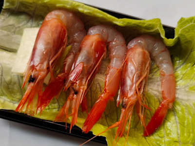 Sashimi de Gamba Roja