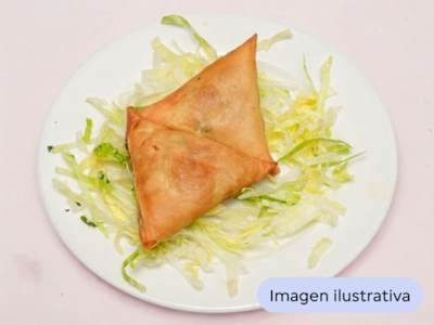 Samosa Vegetal