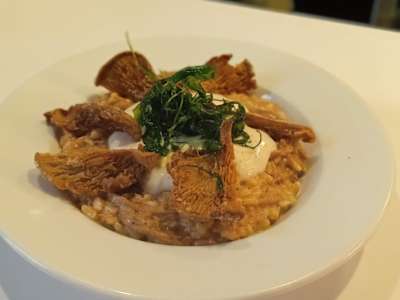 Risotto