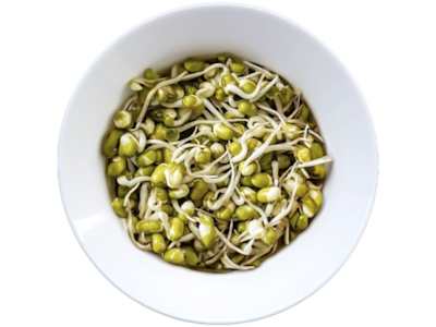 Ensalada de Brotes de Soja
