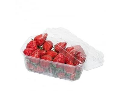 Fresón tarrina origen Huelva 500 g