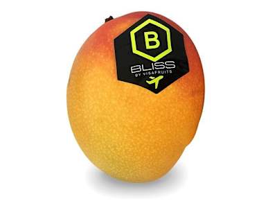 MANGO DE AVIÓN 350G APROX.