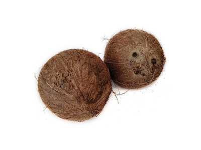 COCO   1 PIEZA