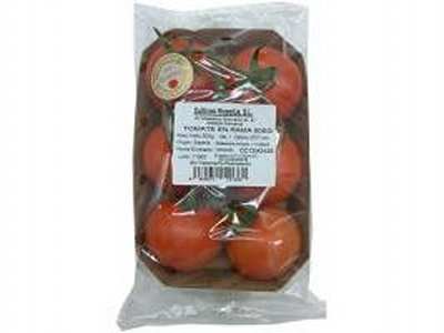 TOMATE RAMA BANDEJA 500G - 11126224