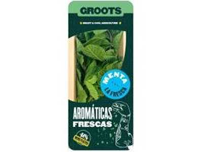 MENTA GROOTS 20G - 25315268