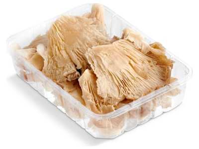 Seta ostra bandeja 200 g