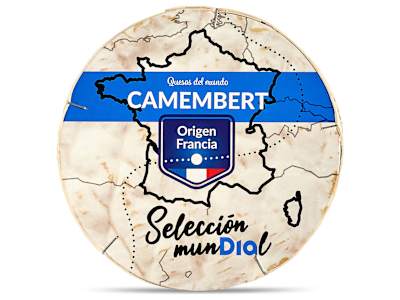 Queso camembert Dia Selección Mundial tarrina 250 g