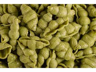 Conchiglie
