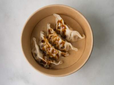 Gyozas de Pato 4u