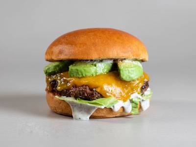 TAMMY BURGER