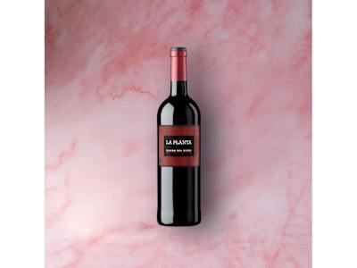 La Planta DO Ribera del Duero