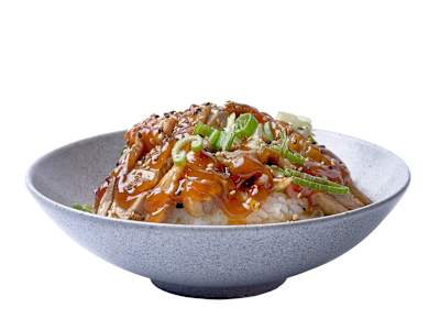 TERIYAKI DON DE PATO