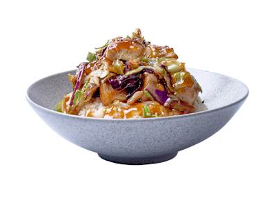 TERIYAKI DON DE POLLO