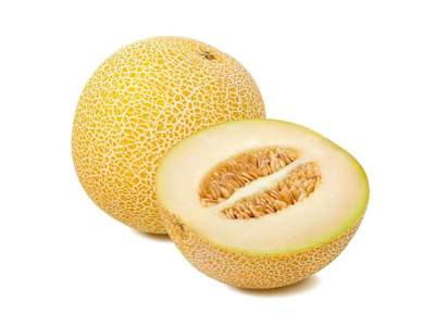 MELON GALIA