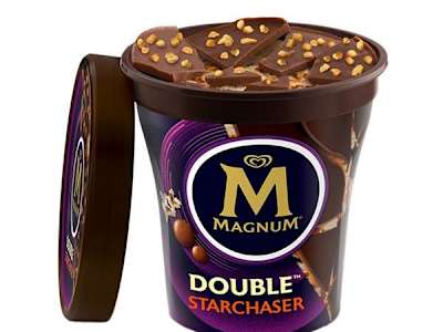 Magnum - Starchaser