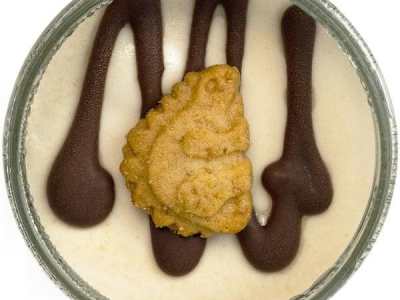 Dinosaurus