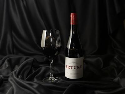 Artuke