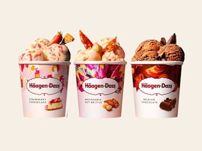 Tarrinas Häagen-Dazs 460 ml