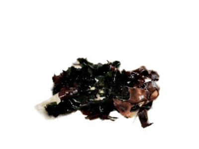 Tofu Fresco