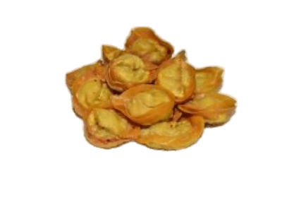 Wanton fritti