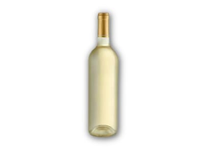 Chardonnay – L.A.Cetto