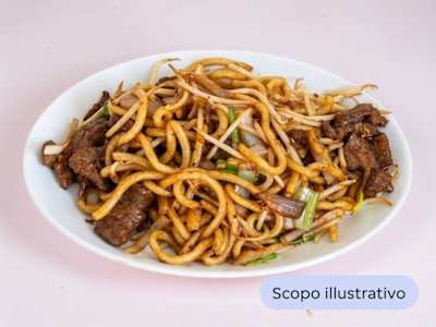 Udon con Carne e Verdure Miste