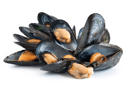Cozze Saltate in Padella