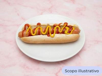 Panino topolino