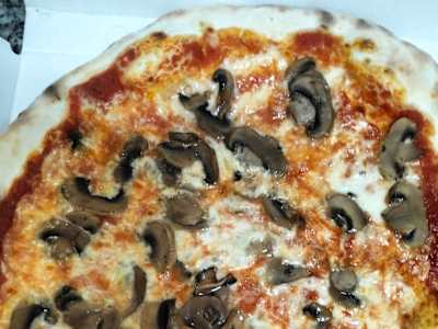 Funghi