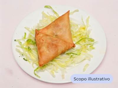 Polti Samosa