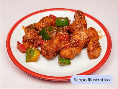 Pollo brasato di shandong