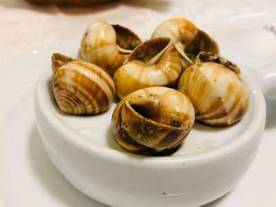 Lumache alla Parigina