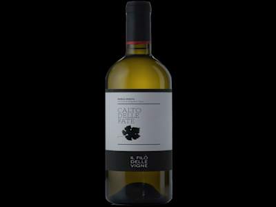 Filò delle Vigne