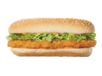 Chicken Special