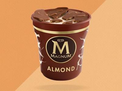 Magnum pinta almond