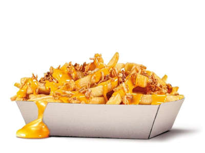 Onion cheese fries