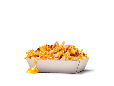 Onion Cheese Fries