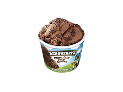 B&J 100ml Fudge Brownie