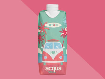 Acqua naturale in brick
