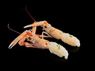 Nigiri Scampi 2pz -145