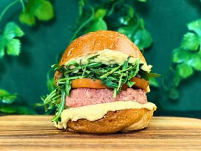 Hummus vegetarian burger