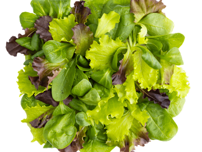 Insalatona