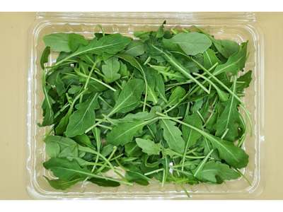 Porzione rucola