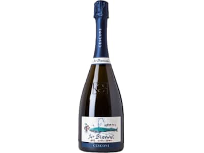 Cesconi - Trento DOC Blauwal Riserva Extra Brut