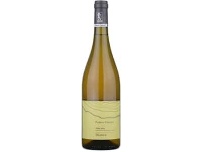 Podere Còncori - Bianco