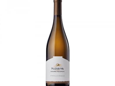 RIBOLLA GIALLA DOC POLENCIC FRIULI 75 CL.