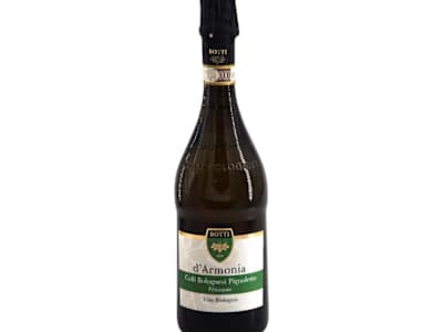 PIGNOLETTO FRIZZANTE BIO DOCG BOTTI EMILIA R. 75 CL.